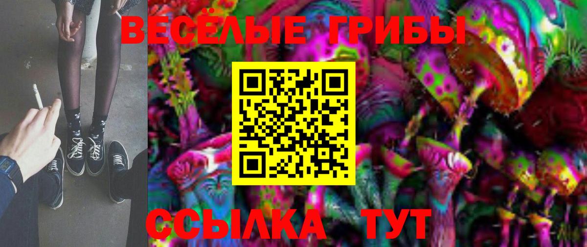 Псилоцибиновые грибы Psilocybe Шадринск